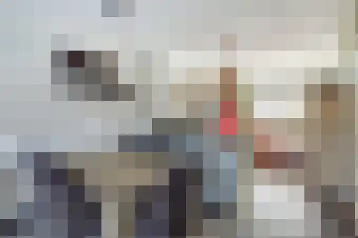 De Botteloef 26 Dronten thumbnail 13