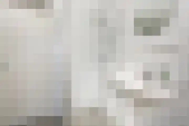 De Botteloef 26 Dronten thumbnail 29