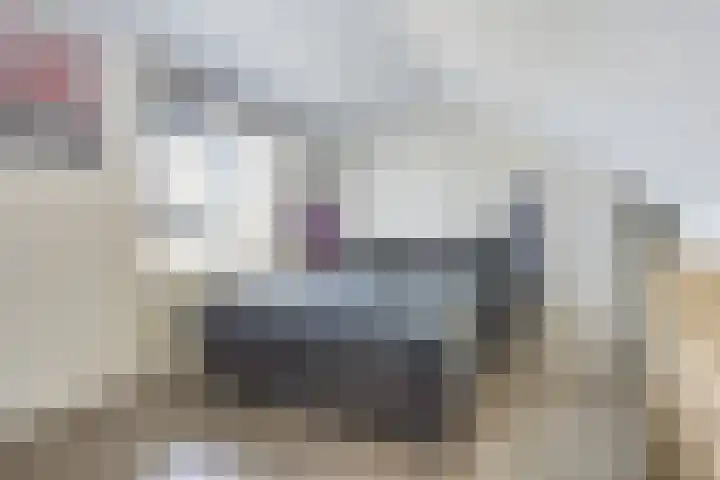 De Botteloef 26 Dronten thumbnail 31
