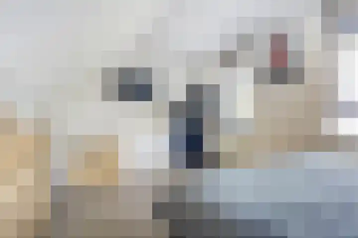 De Botteloef 26 Dronten thumbnail 32