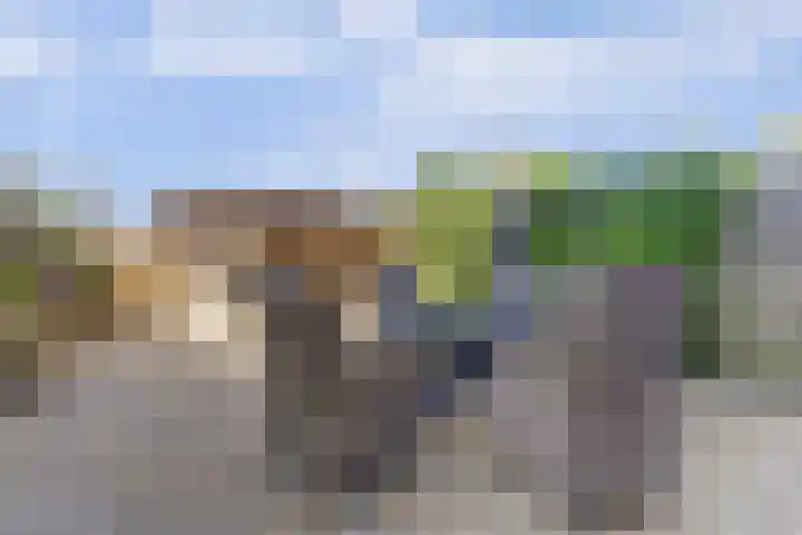 De Botteloef 26 Dronten thumbnail 33