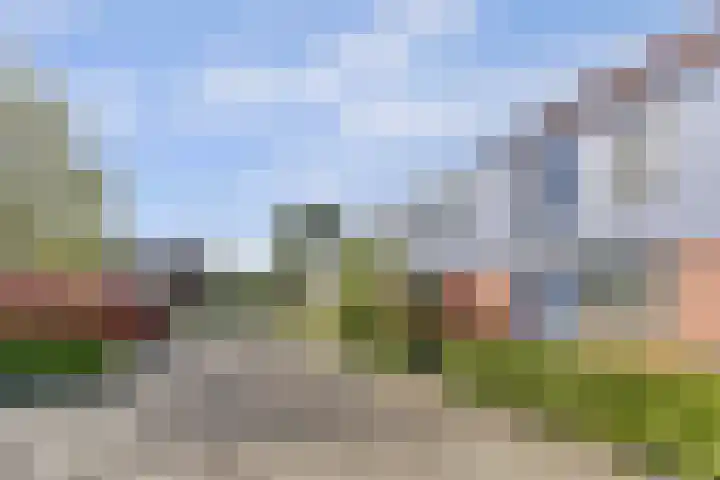 De Botteloef 26 Dronten thumbnail 38