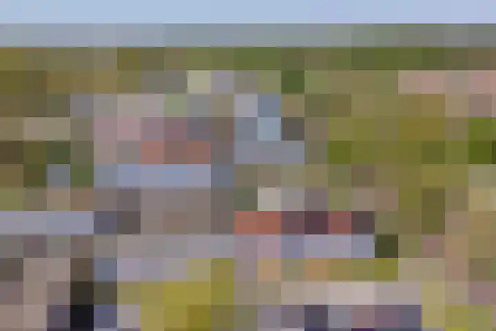 De Botteloef 26 Dronten thumbnail 41