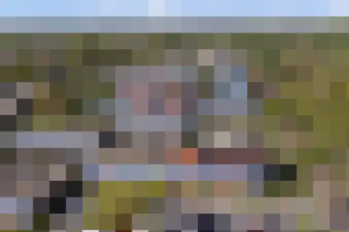 De Botteloef 26 Dronten thumbnail 42