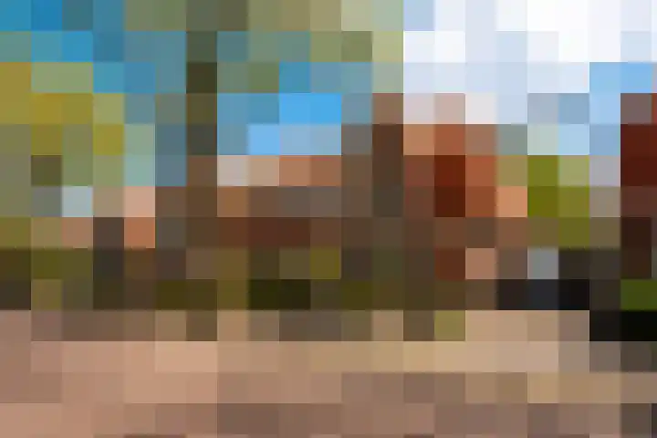 De Botteloef 26 Dronten thumbnail 47