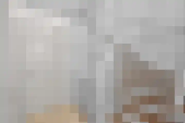 De Botteloef 26 Dronten thumbnail 5