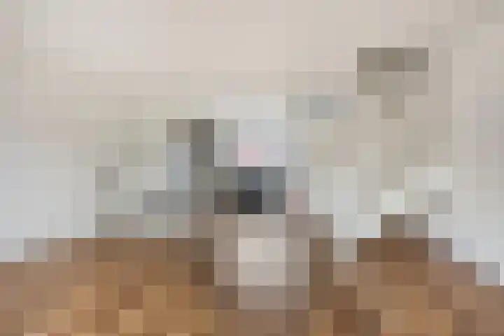 De Botteloef 6 Dronten thumbnail 11