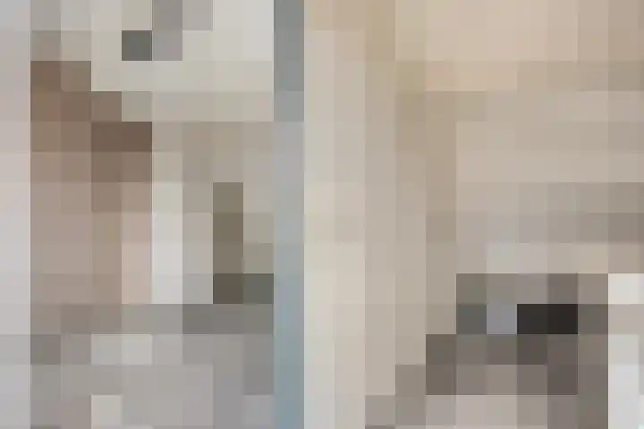 De Botteloef 6 Dronten thumbnail 24