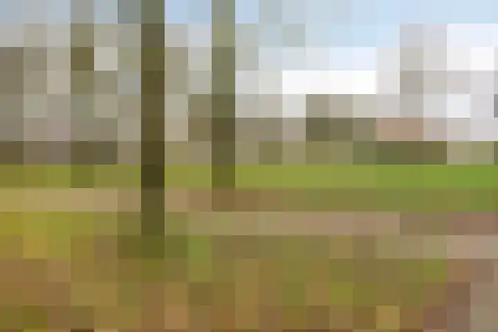 De Botteloef 6 Dronten thumbnail 31