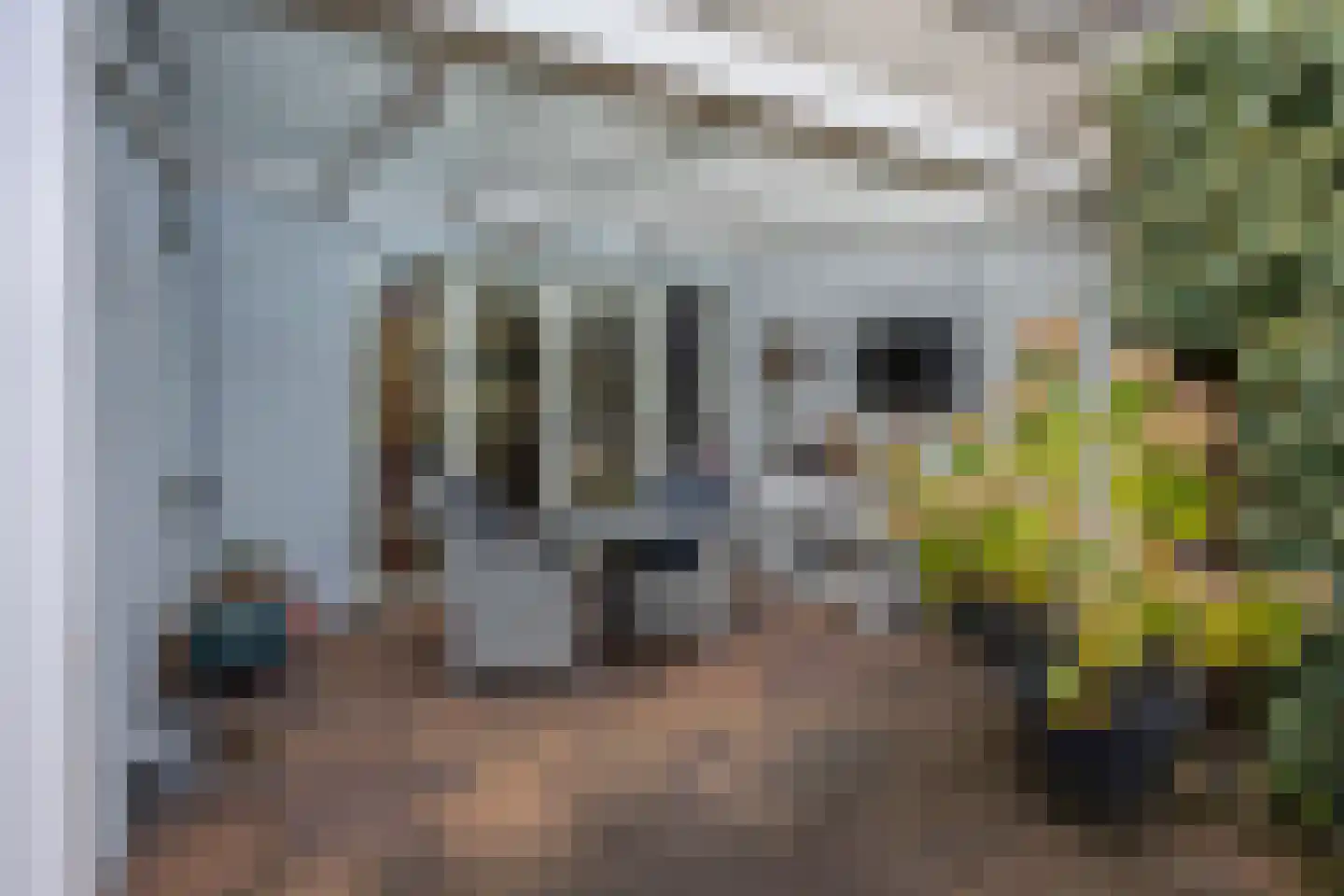 de Botter 11 Baarn thumbnail 30