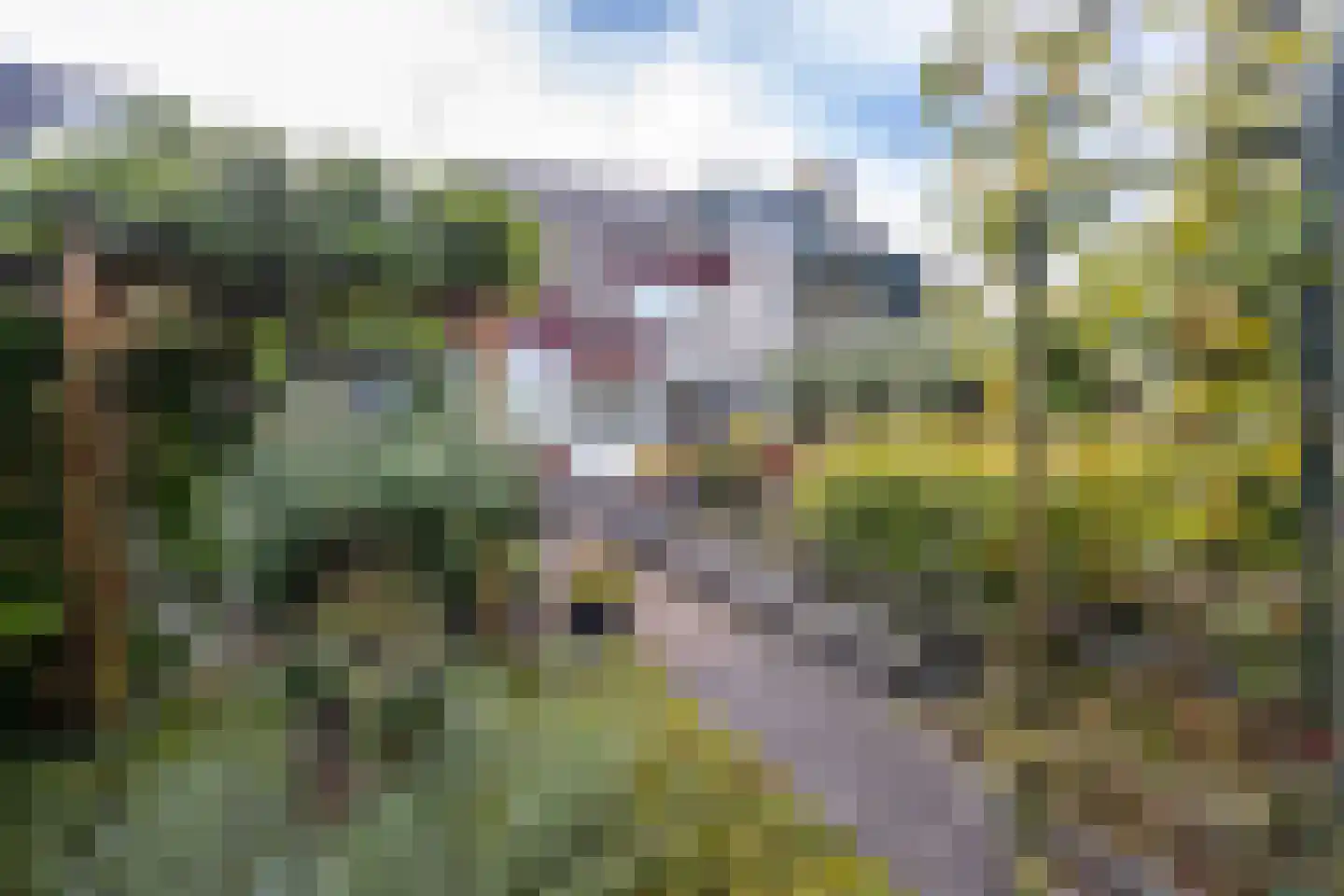 de Botter 11 Baarn thumbnail 33