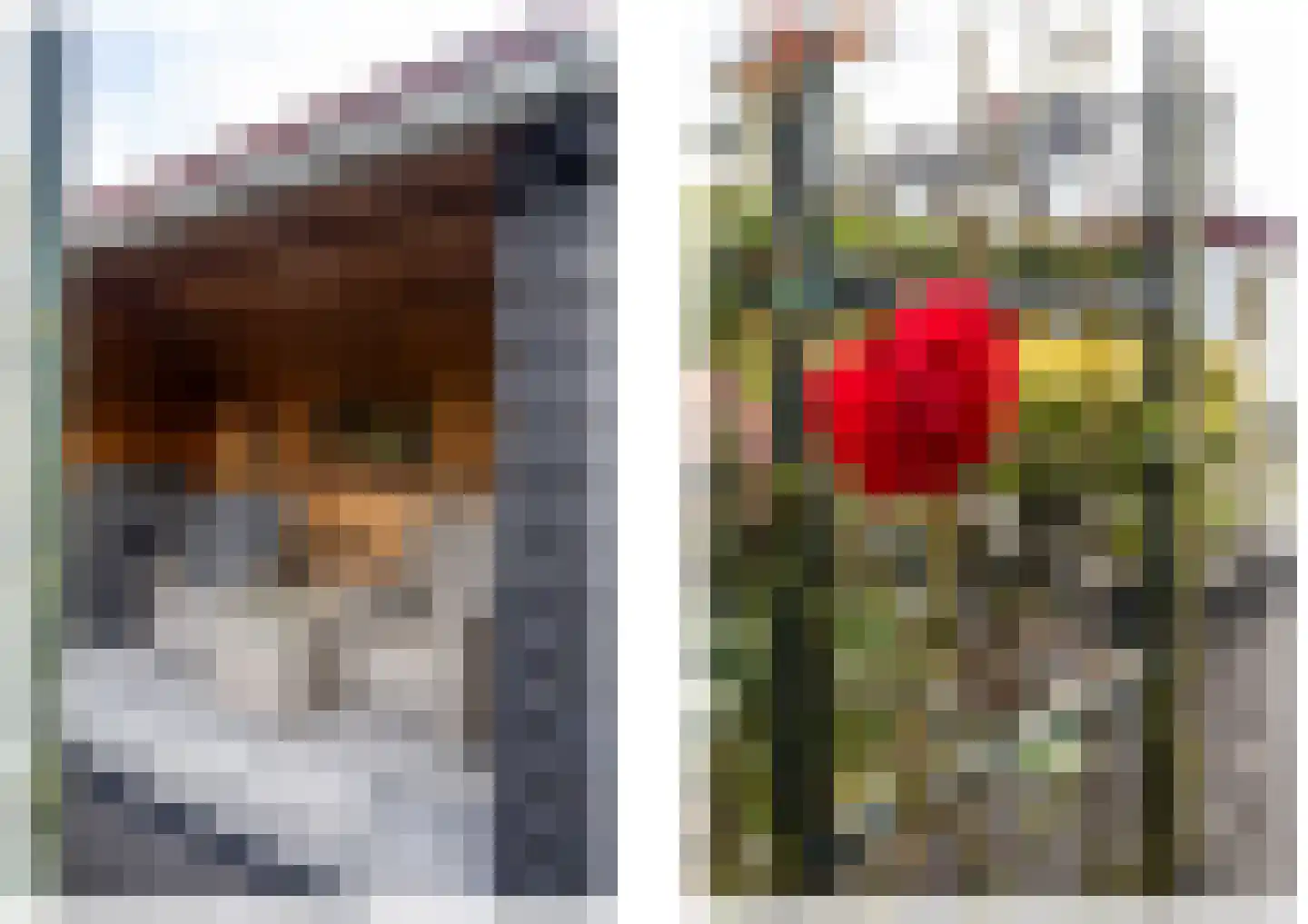 de Botter 11 Baarn thumbnail 34