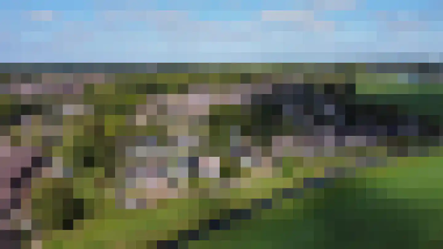 de Botter 11 Baarn thumbnail 39