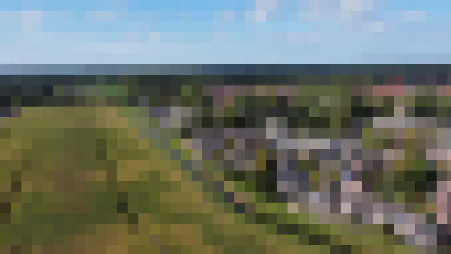 de Botter 11 Baarn thumbnail 40