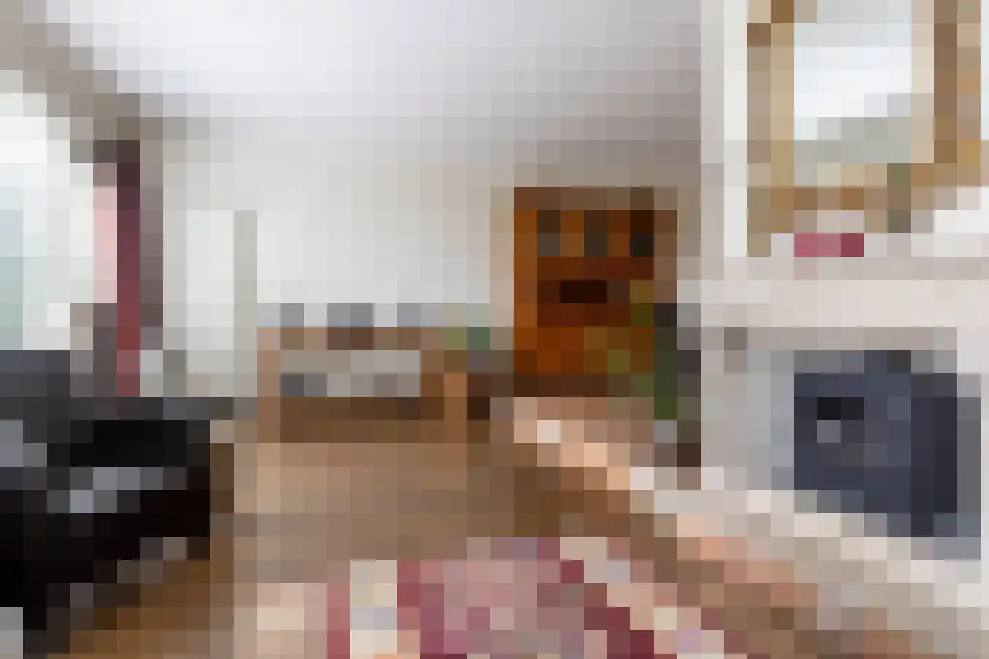 de Botter 11 Baarn thumbnail 9