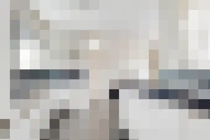 de Botter 13 Baarn thumbnail 10