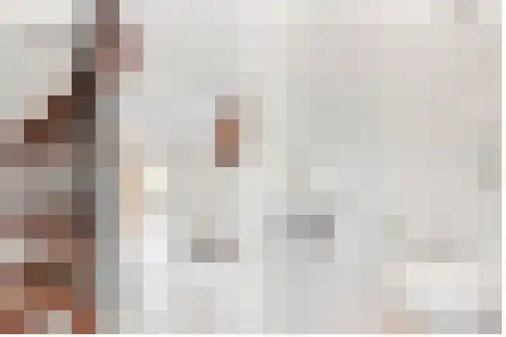 de Botter 13 Baarn thumbnail 26