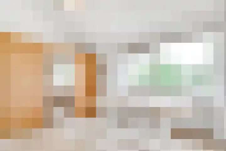 de Botter 13 Baarn thumbnail 29