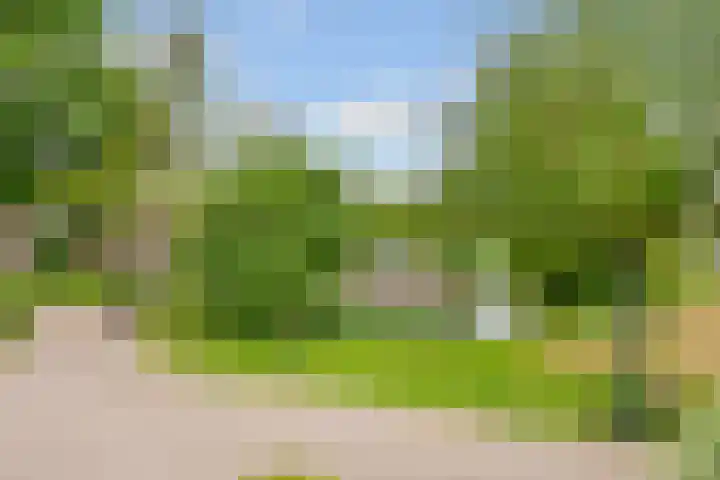 de Botter 13 Baarn thumbnail 33