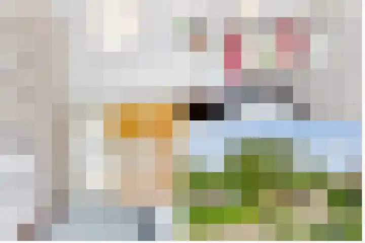 de Botter 13 Baarn thumbnail 35