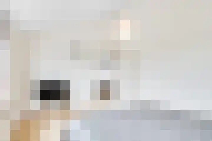 de Botter 13 Baarn thumbnail 37