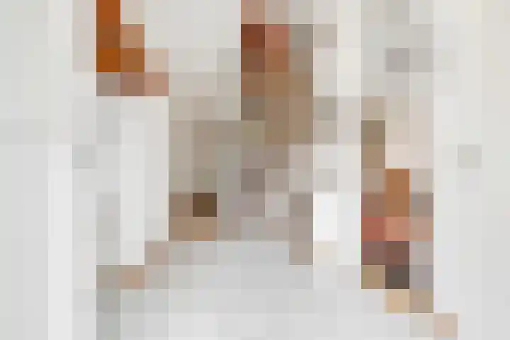 de Botter 13 Baarn thumbnail 4