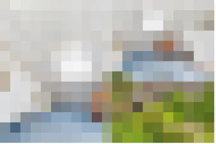 de Botter 13 Baarn thumbnail 41