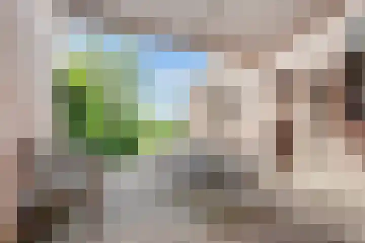 de Botter 13 Baarn thumbnail 45