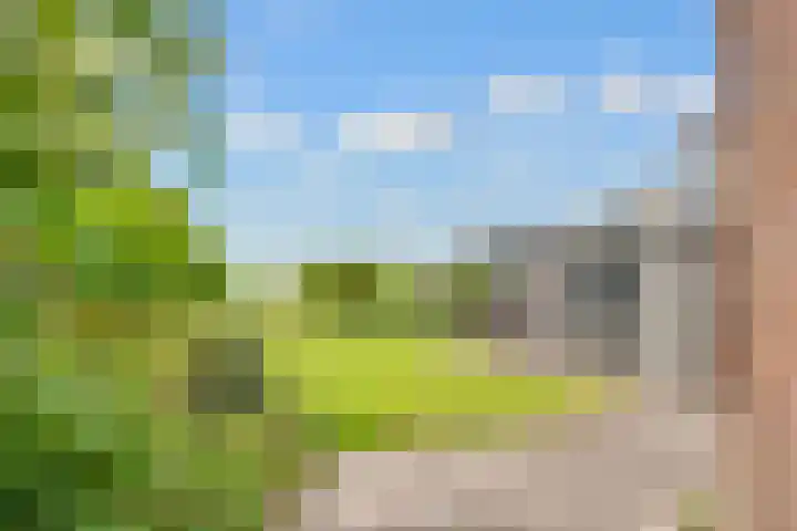 de Botter 13 Baarn thumbnail 46