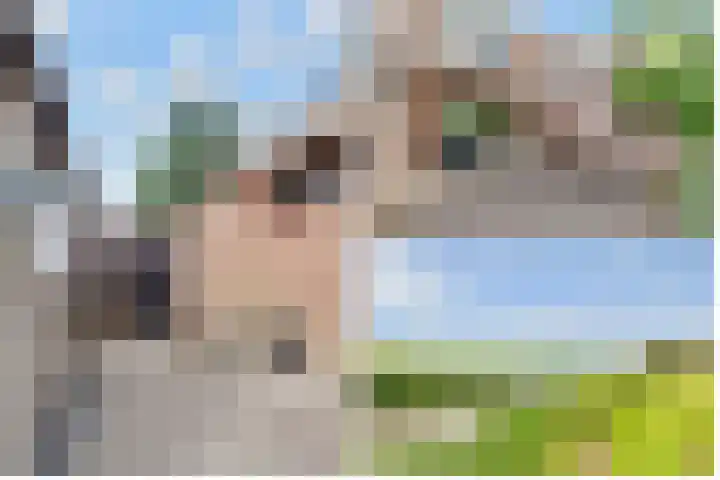 de Botter 13 Baarn thumbnail 48