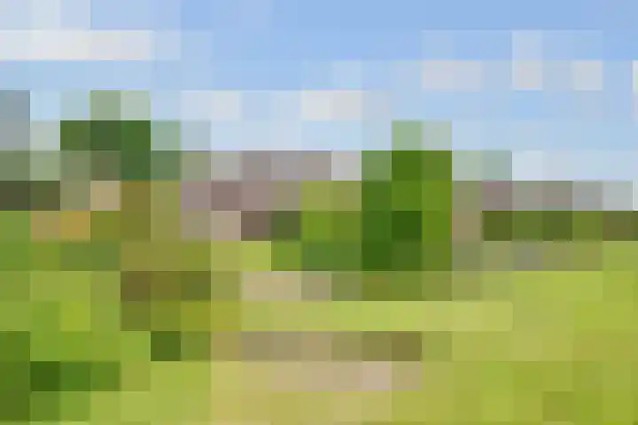 de Botter 13 Baarn thumbnail 52