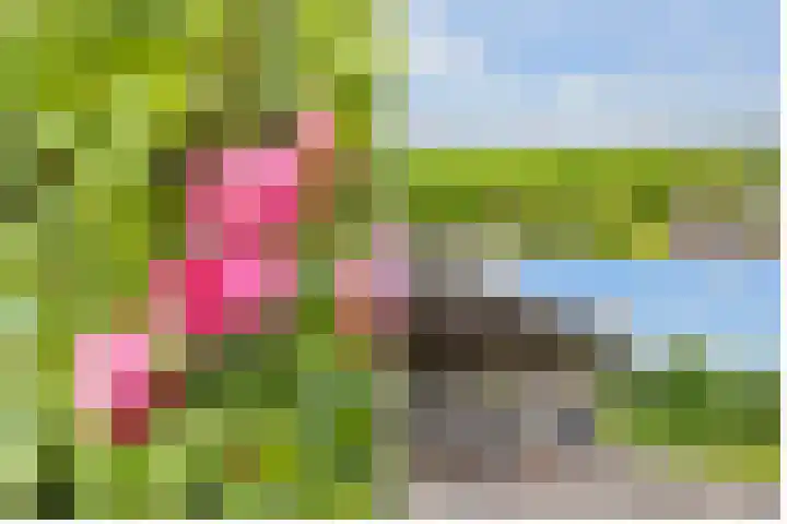 de Botter 13 Baarn thumbnail 55