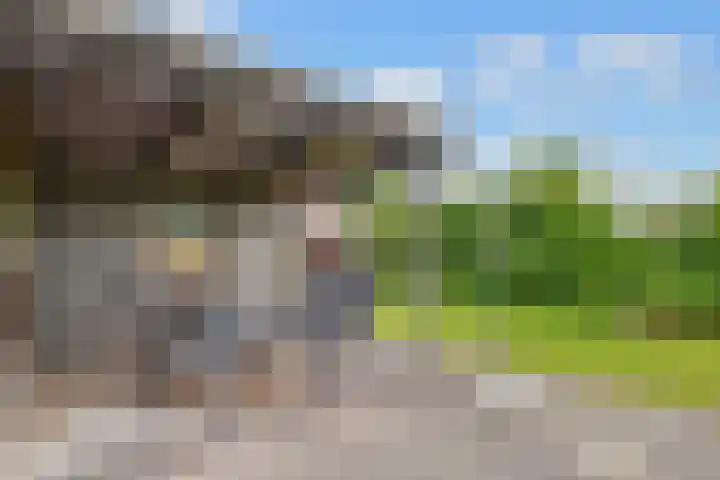 de Botter 13 Baarn thumbnail 57