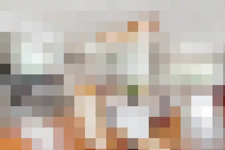 de Botter 13 Baarn thumbnail 6