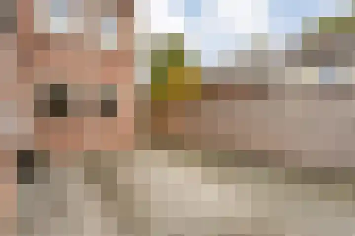 de Botter 13 Baarn thumbnail 60