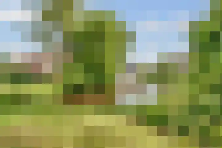 de Botter 13 Baarn thumbnail 62