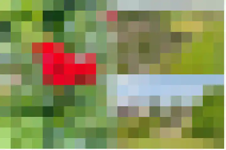 de Botter 13 Baarn thumbnail 63