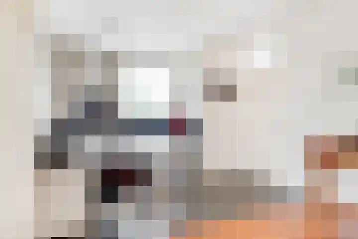 de Botter 13 Baarn thumbnail 7