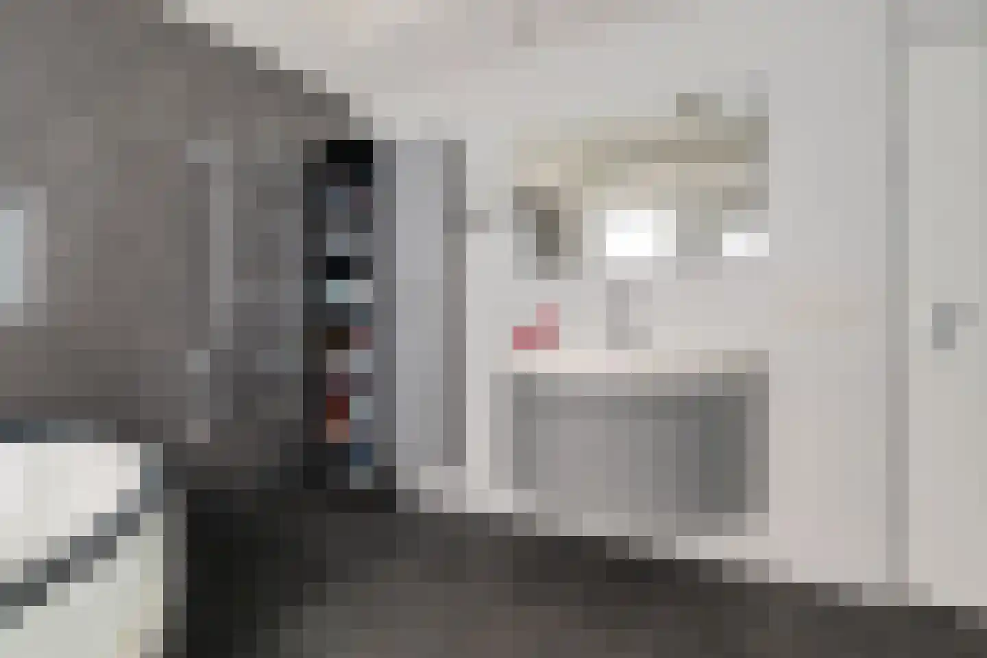 De Botter 13 Zwartsluis thumbnail 21