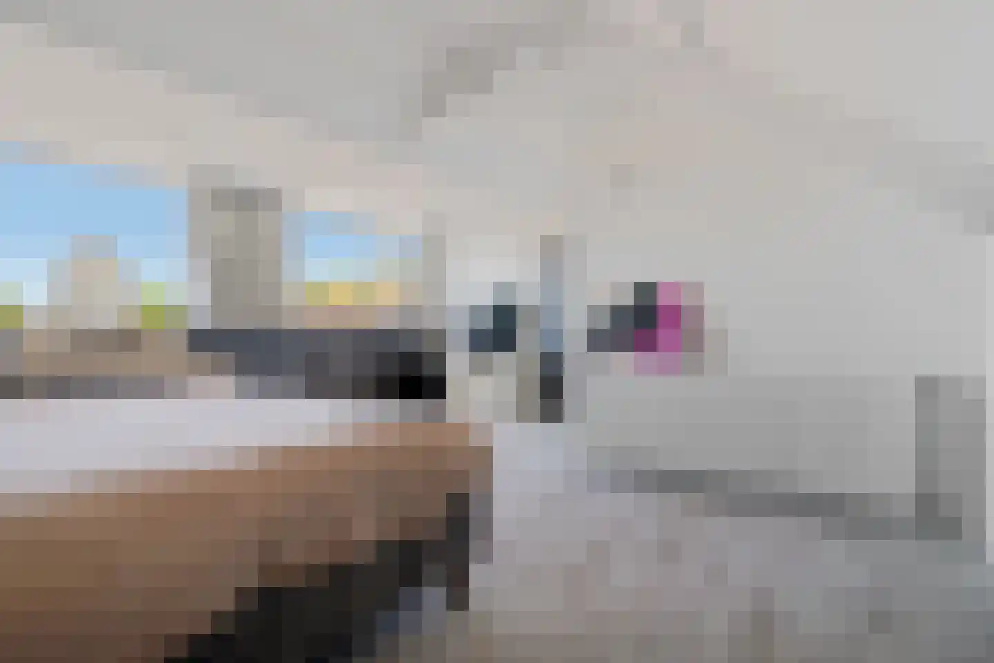 De Botter 13 Zwartsluis thumbnail 27