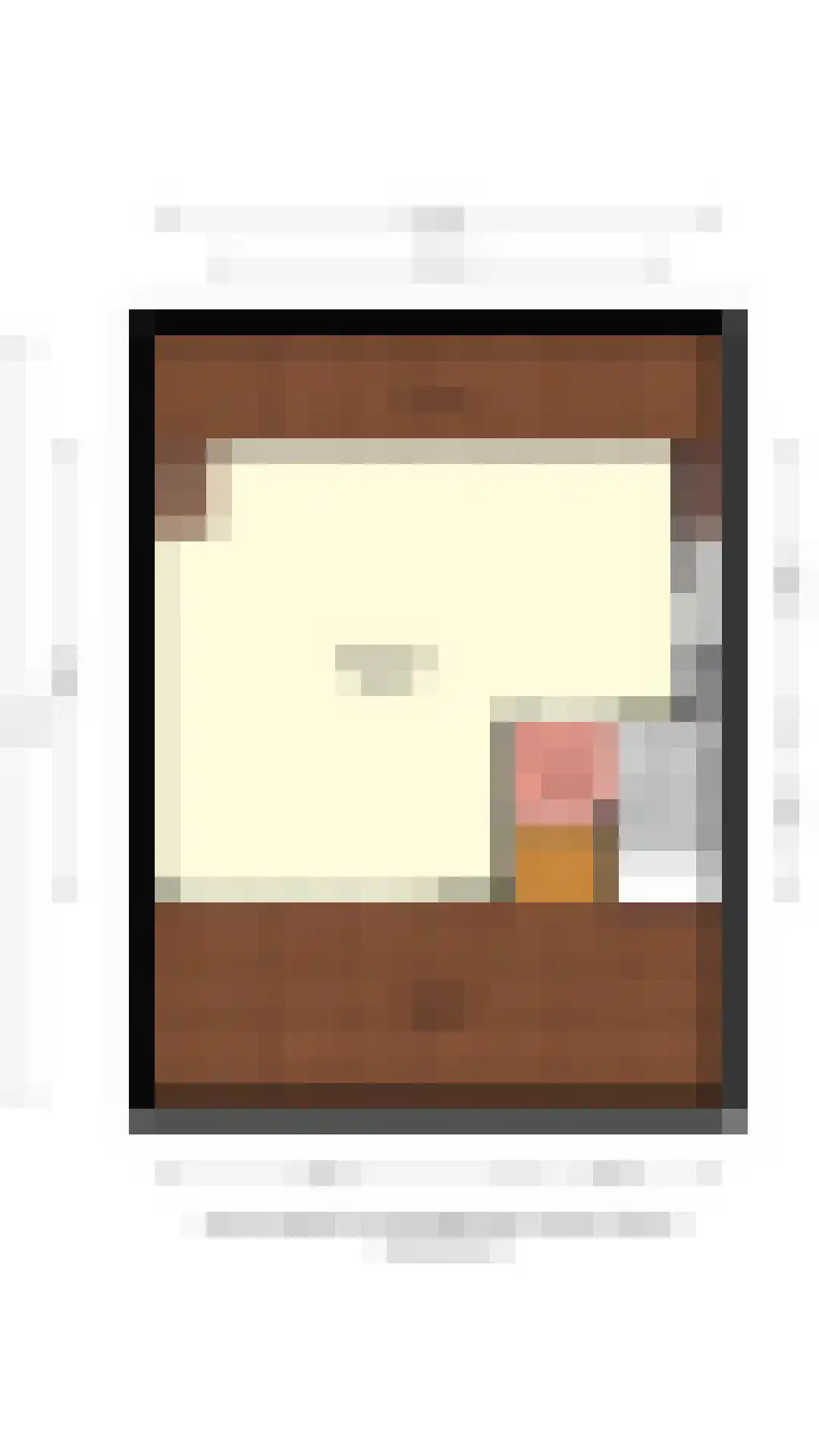 De Botter 13 Zwartsluis thumbnail 30