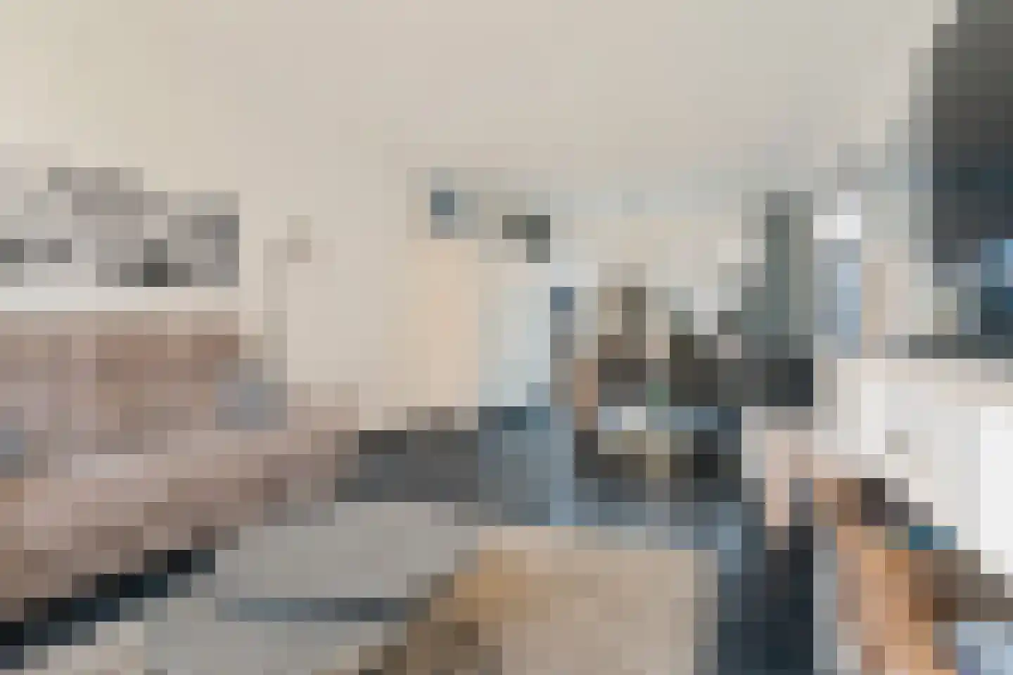 De Botter 13 Zwartsluis thumbnail 8