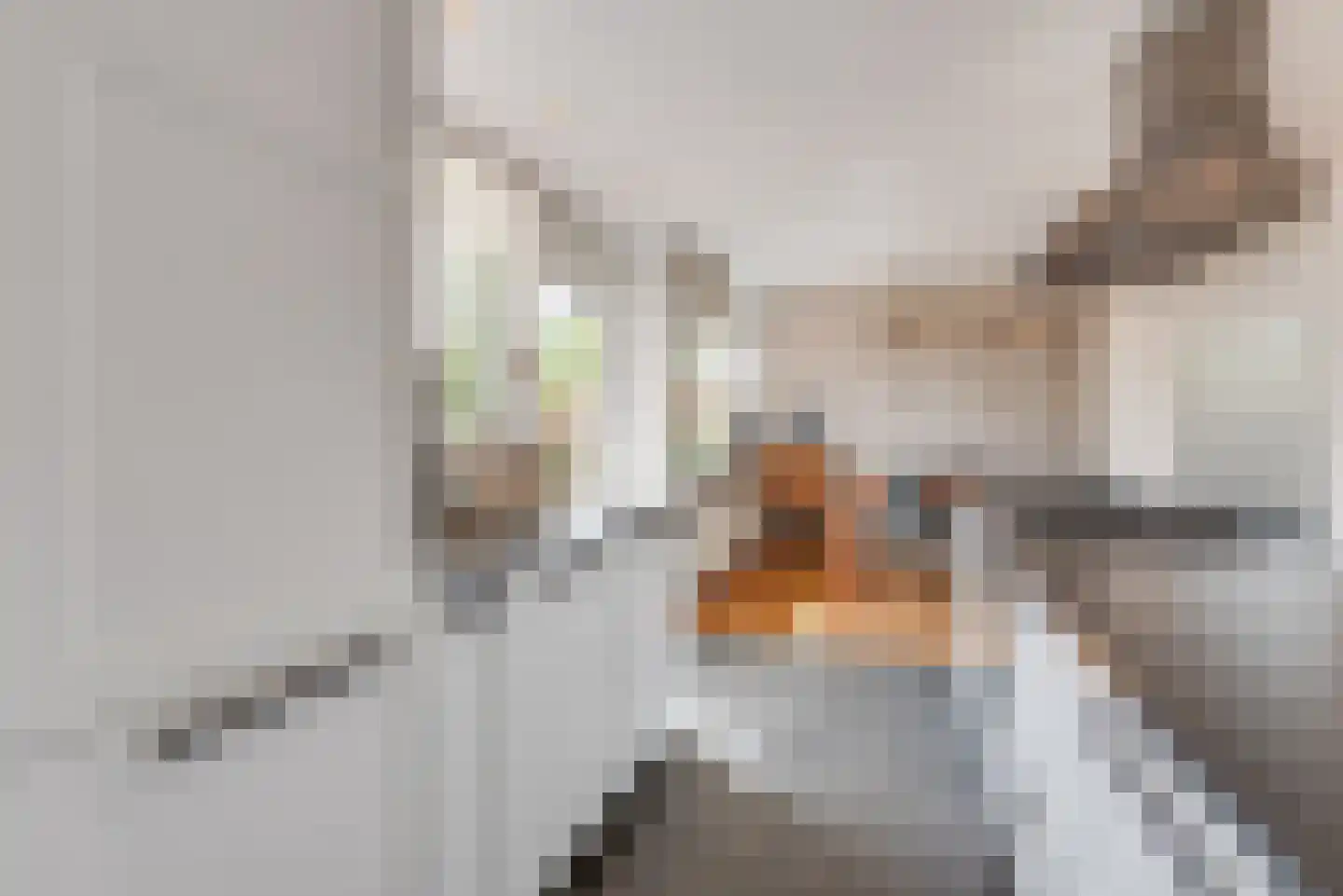 de Botter 40 Baarn thumbnail 17