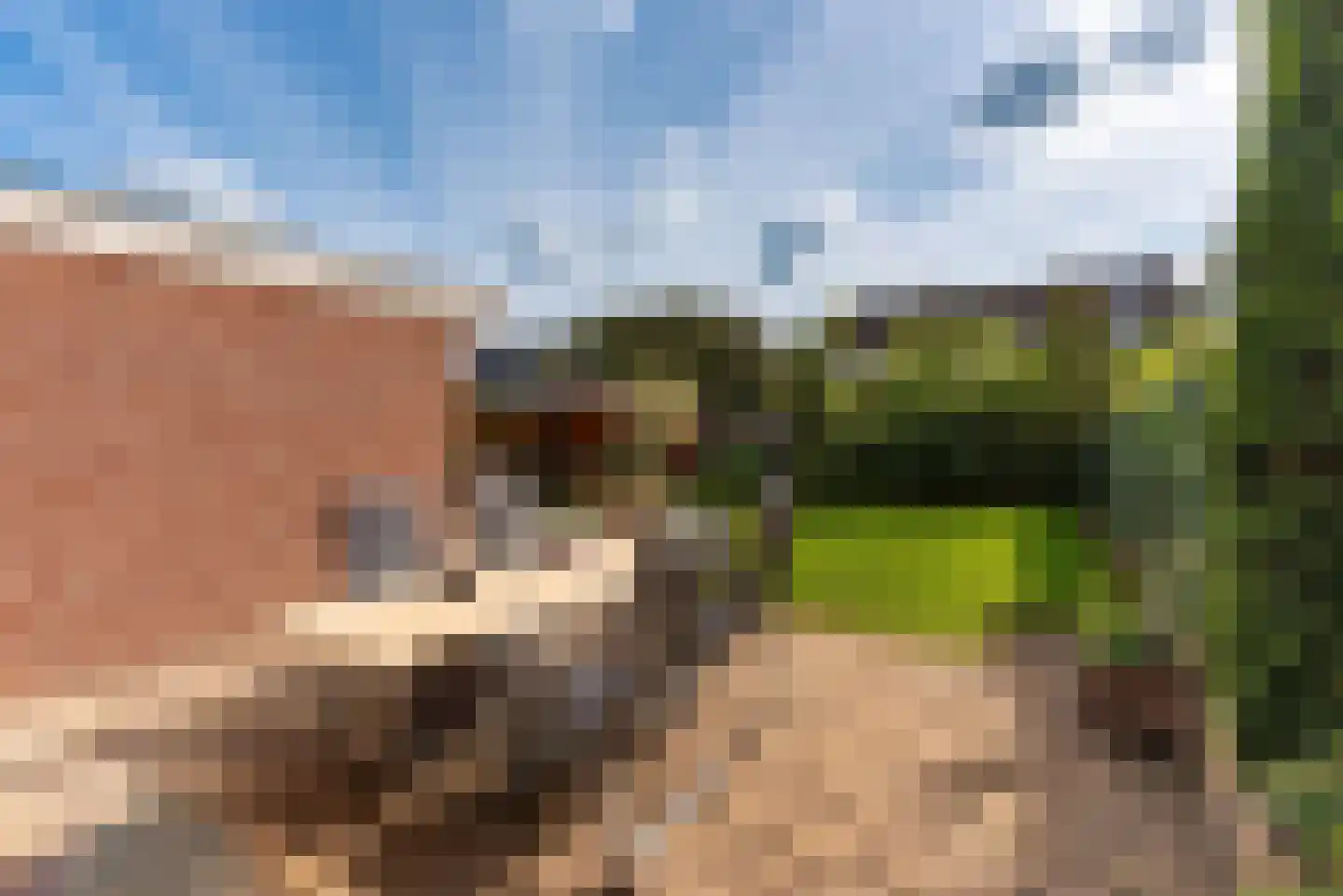de Botter 40 Baarn thumbnail 19