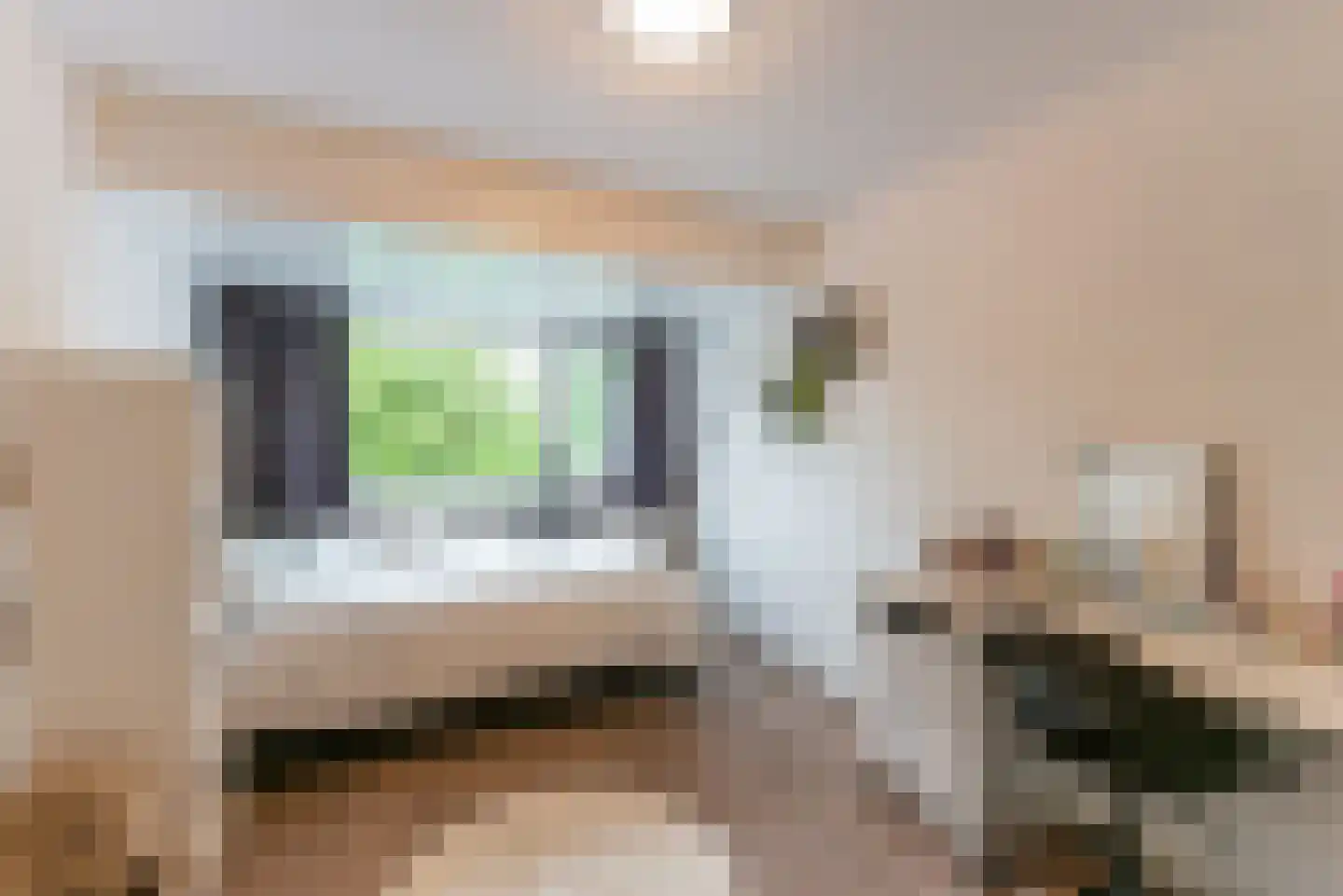 de Botter 40 Baarn thumbnail 28