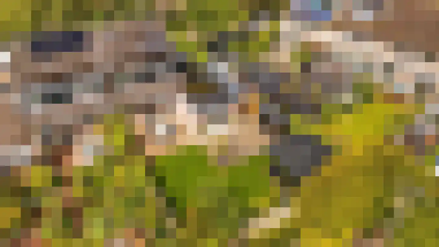 de Botter 40 Baarn thumbnail 39