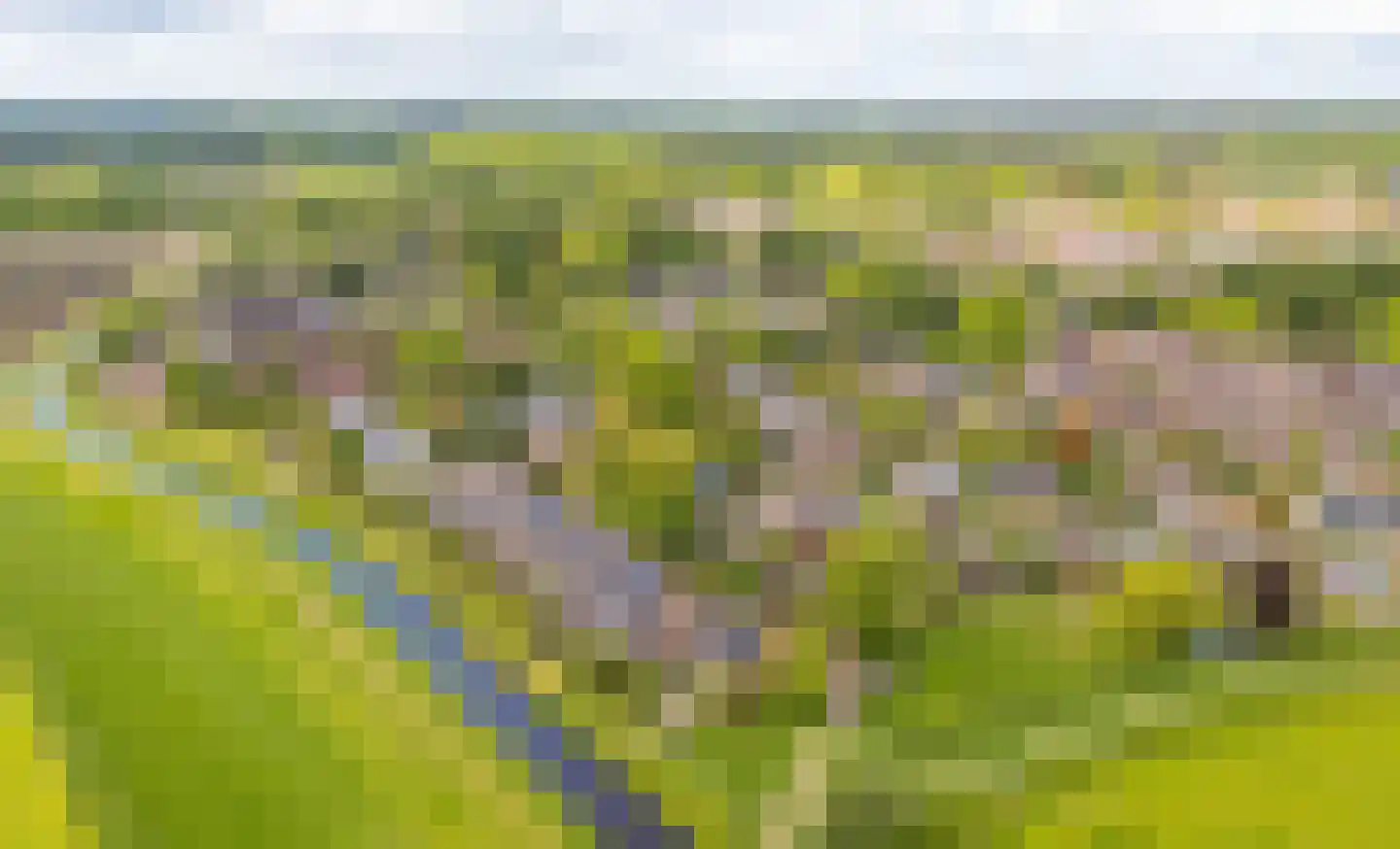 de Botter 40 Baarn thumbnail 41