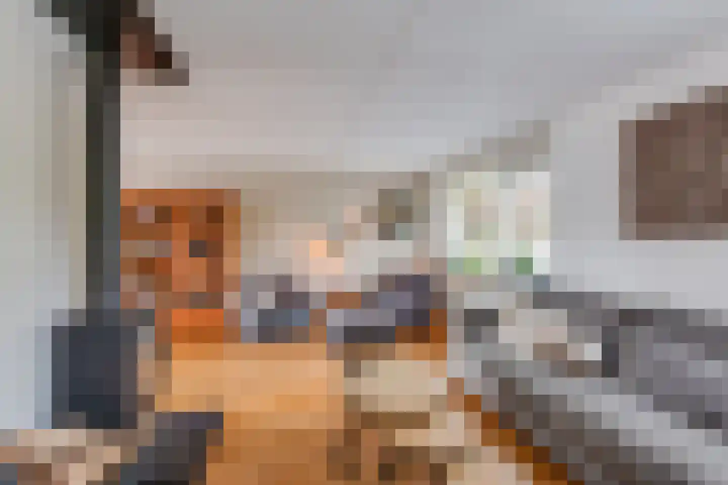 de Botter 40 Baarn thumbnail 6