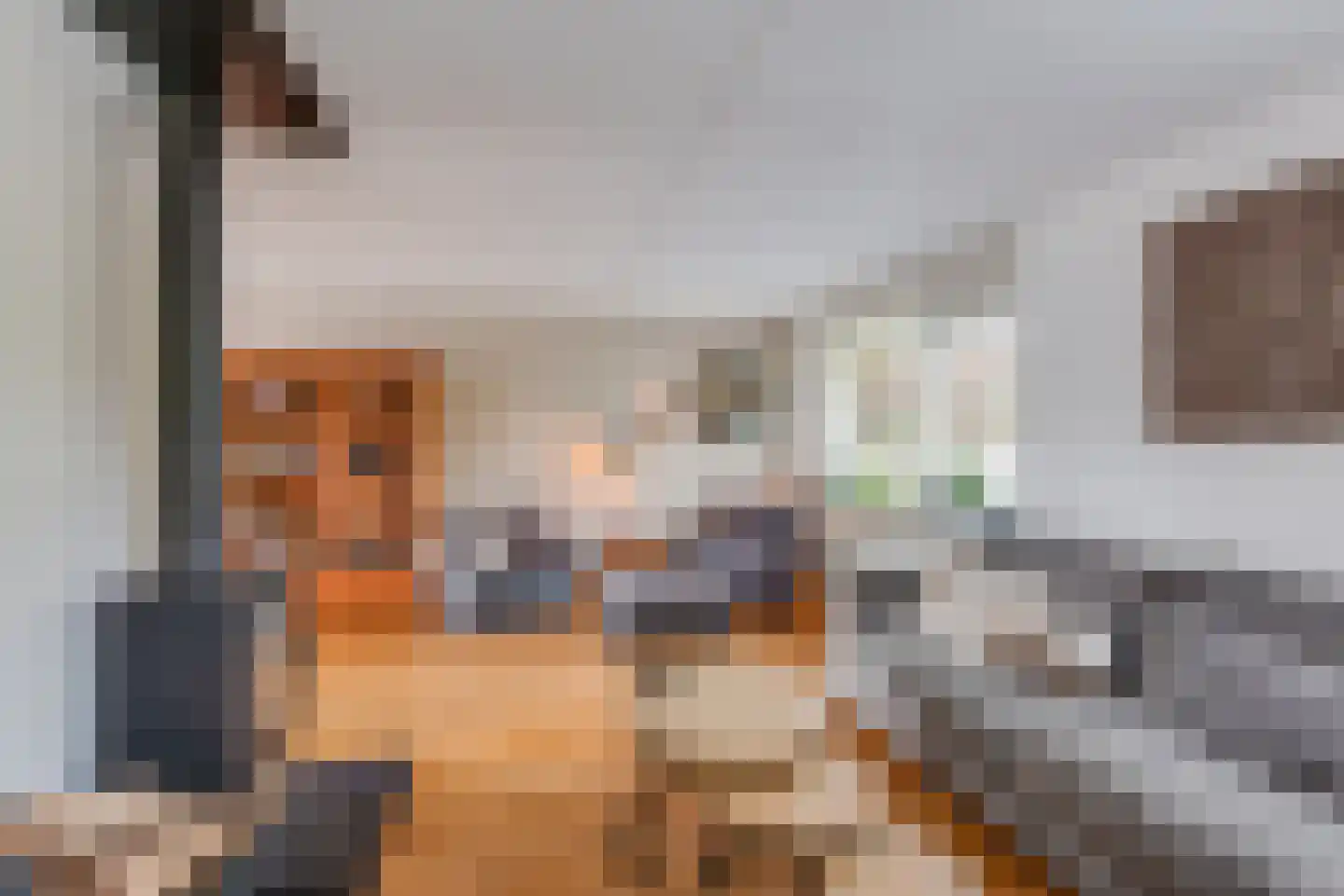 de Botter 40 Baarn thumbnail 6