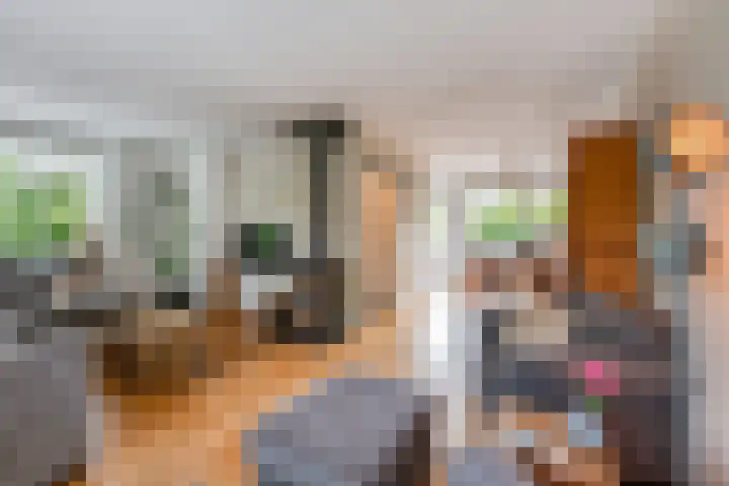de Botter 40 Baarn thumbnail 7